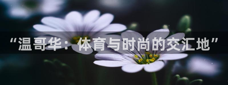 JJB竞技宝官方正版app集团官网首页网址:“温哥华:体育与