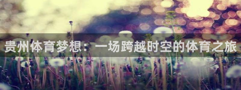 JJB竞技宝官网下载招商电话地址是多少:贵州体育梦想:一场跨